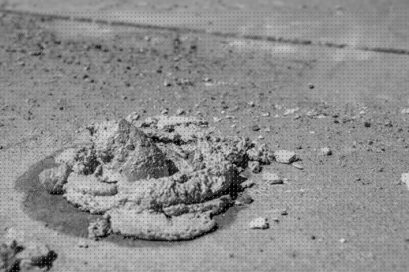 Garage Floor Leveling